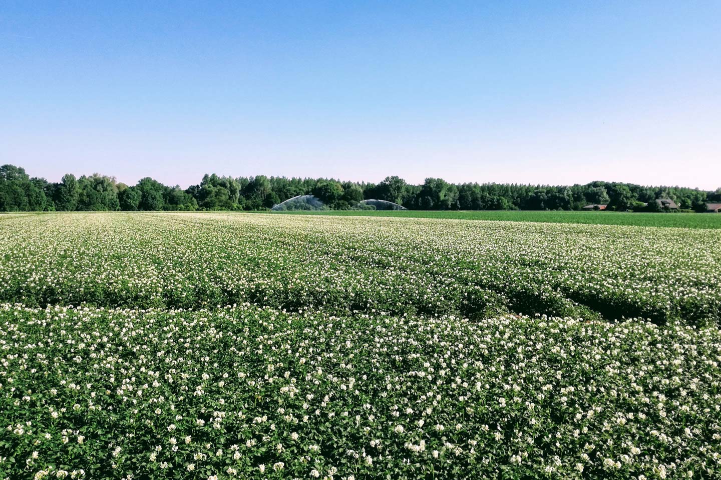 Nachhaltigkeit in der Landwirtschaft